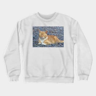 catadorable - meow Crewneck Sweatshirt